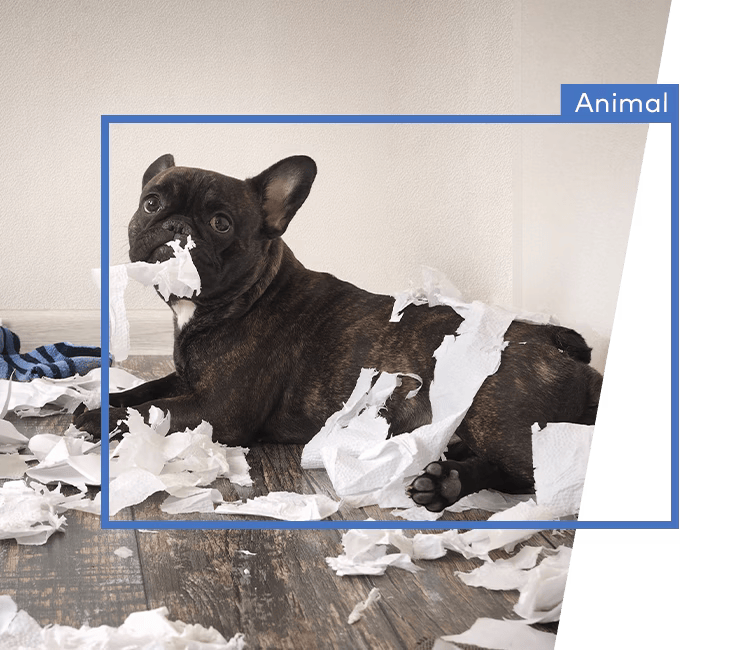 A pet caught on camera surrounded by torn items, with Alarm.com’s video analytics identifying and categorizing the activity.